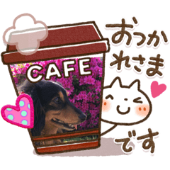 vov love one 1 one part 2