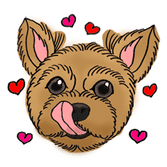 Short Hair Yorkie Line Stickers Line Store