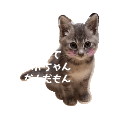 yukina_20200428164936