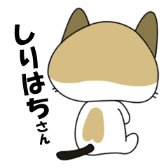 Shiri-Hachi The Cat