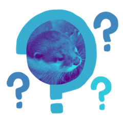 kawauso kawauso kawaie kawauso