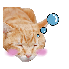 nyan2LIFE(haku)