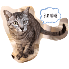 riko_2020042820284223