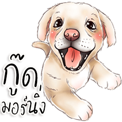 Puppy Cute Dog