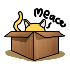 Cat Love Box