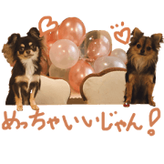 happynuts_20200428211241