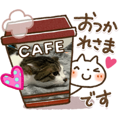 saya_2020042822295