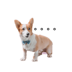 漢堡大爺
