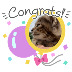 ayumi_20200425192115