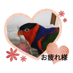 miu_20200428204335