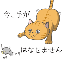 chataro is cat 2