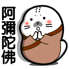 A little monk seal