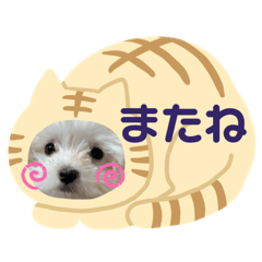 haru_20200428214602