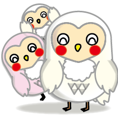 white owl family