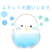 Nonarisa_20200428214636