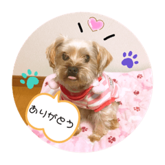 Saki_20200428210251
