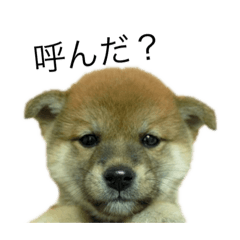 suzu_20200428210830