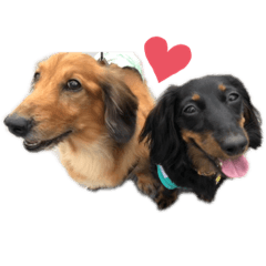 Natsumi_20200428212948