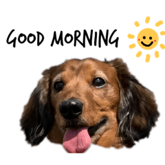 YURINA_20200428212924