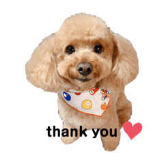 Junko_20200429101844