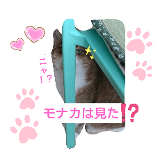 yukina_20200429091152