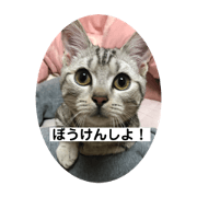 Hiroyuki_20200429124501
