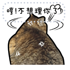 MEOW STAR NEWS-ASAN CAT EMOJI 1