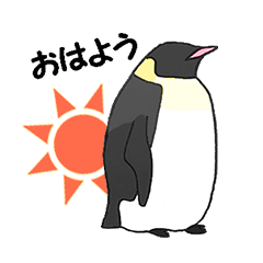 Penguin-Everyday