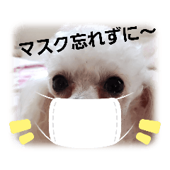 yuumi2020