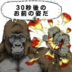 Gorilla Gorilla Message