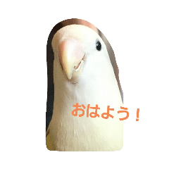 suzu_20200429162657