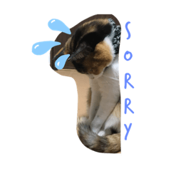 mayagood20200429164636ajt