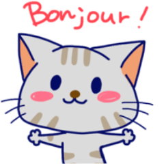 Cats in French
