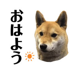 Takashi_20200429163415