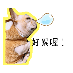 斯斯