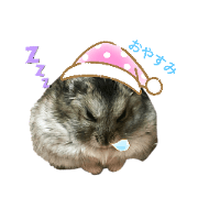 chocohamu_20200429170634