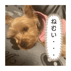 risa_20200429195201