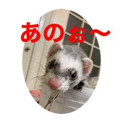 Mizuki_20200429171657