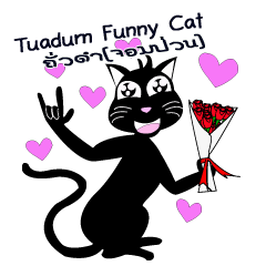Tuadum Funny Cat