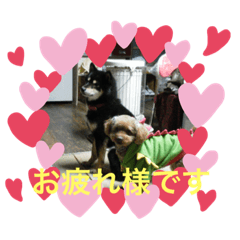 saori_20200429205826