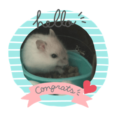 hikari_20200429214630