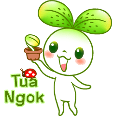 Tua Ngok (English version)