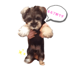 YURINA_20200430035953