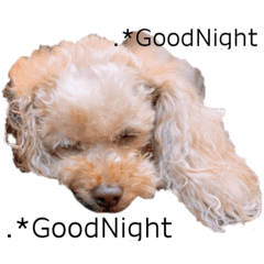 haruna_20200429200743