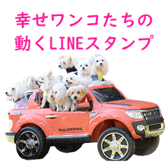 Happiness dogs' moving LINE stickers