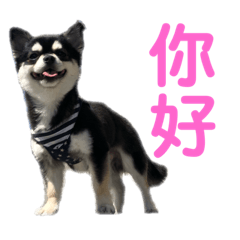 KEN_20200429201526
