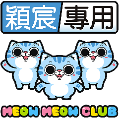 Meow Meow Club Animated - YING CHEN