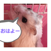 akane_20200430103928