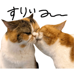 We are Momo&Tarou