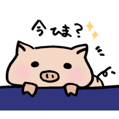 Pig(freetime)
